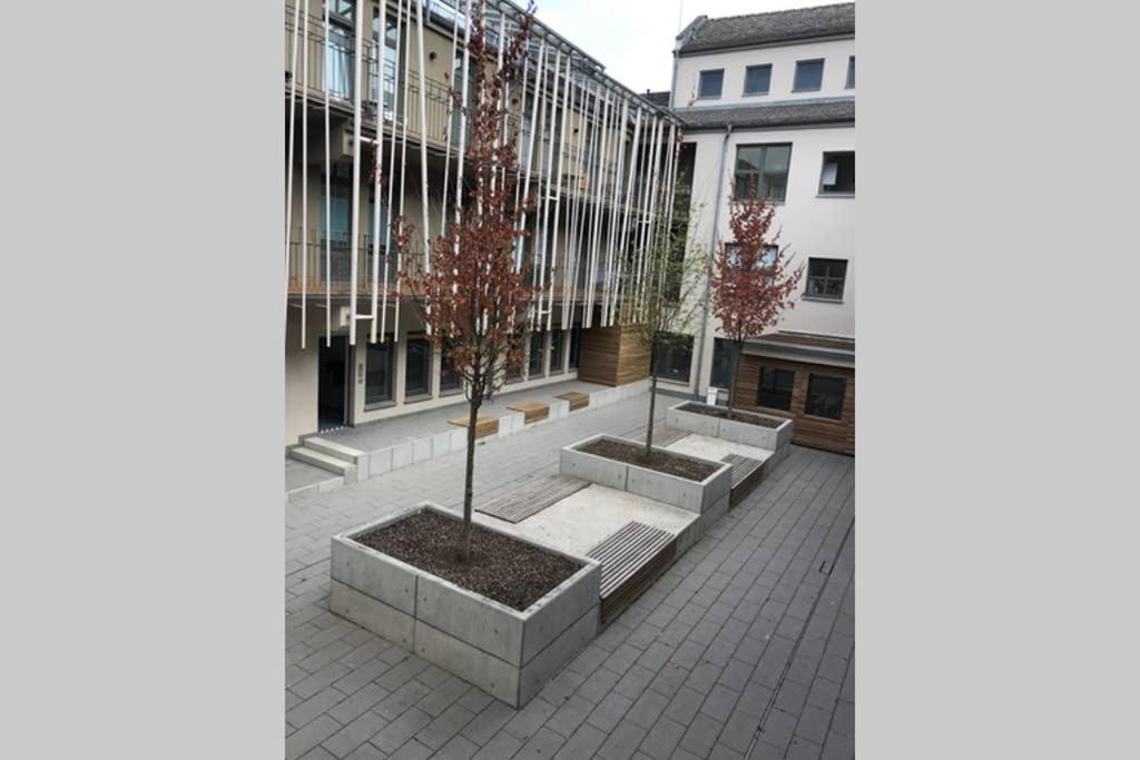 Central, Modern, Mit Grossem Balkon Checkin123 ヴィースバーデン エクステリア 写真